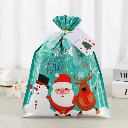 Early Christmas Sale 49% OFF š„āā Christmas Gift Bags
