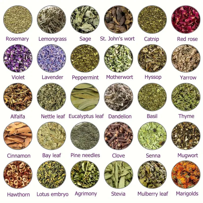 Seuricoโข Herbal VenoDetox Foot Bath Beads (๐๐๐๐ ๐๐๐ซ๐ญ๐ข๐๐ข๐๐๐ญ๐ข๐จ๐ง๏ผ๐๐๐บ๐ฝ๐ต๐ฎ๐๐ถ๐ฐ ๐๐๐๐ผ๐ฐ๐ถ๐ฎ๐๐ถ๐ผ๐ป ๐ผ๐ณ ๐๐บ๐ฒ๐ฟ๐ถ๐ฐ๐ฎ)