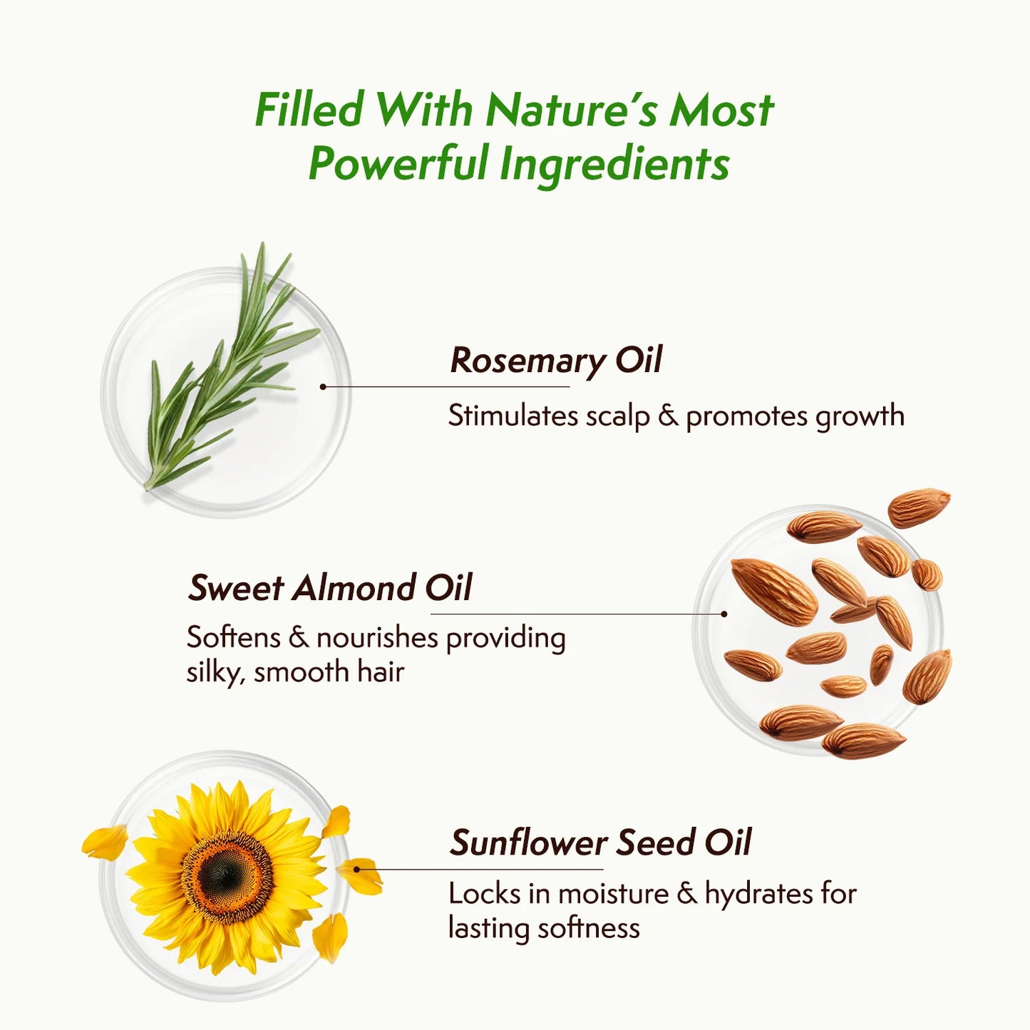 ⏰LIMITED SALE 50% OFF!!🎁ODEIUY Rosemary Hair Nourishment Oil🌿✨