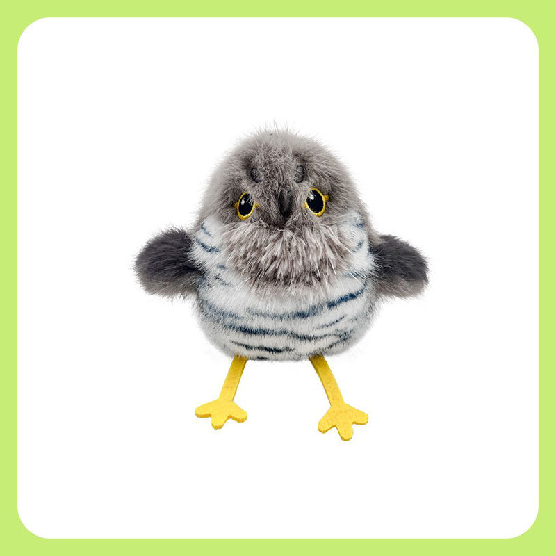 Cuckoo