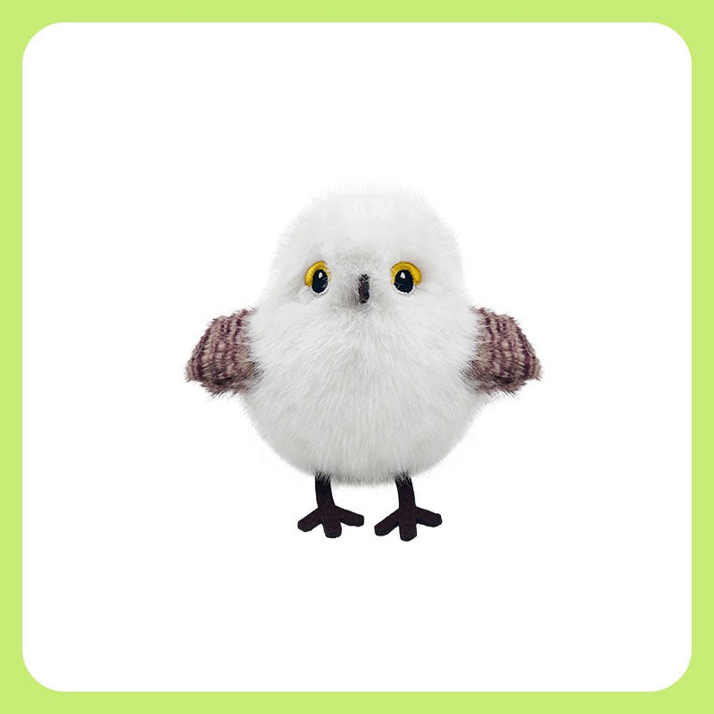 Marsh Tit